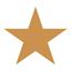 Servietten Star White & Copper / Ambiente (33x33)