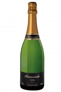 Cava Bienvenido Brut D.O.  / Spanien
