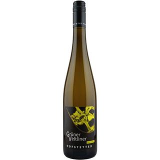 2021 Grüner Veltliner vom Wagram Trocken Weingut Hofstetter / Fels am Wagram