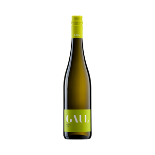 2022 Riesling trocken Weingut Gaul / Pfalz