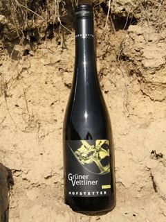2021 Grüner Veltliner Ried Scheiben Trocken Weingut Hofstetter / Fels am Wagram