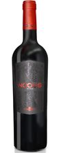 2020 Nodus Bobal BIO Tinto - Bodegas Nodus / Utiel-Requena