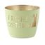 Windlicht, Madras,M ,Frohe Ostern, pastell, Hellgrau,gold