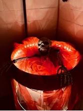 Halloween Party 30.10.2025