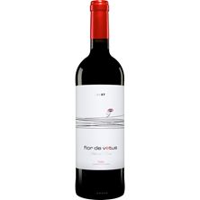 2017 Flor de Vetus Toro D.O.  / Bodegas Vetos - Spanien