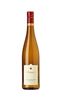 2022 Spätburgunder Muschelkalk BIO trocken Weingut Wilhelmshof - Pfalz