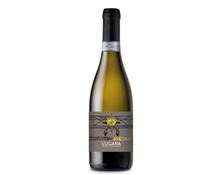 2025 Lugana DOC  Ames 44  / Agricola Tenuta Malavasi - Veneto