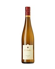 2024 Riesling feinherb Kabinett BIO Weingut Wilhelmshof - Pfalz