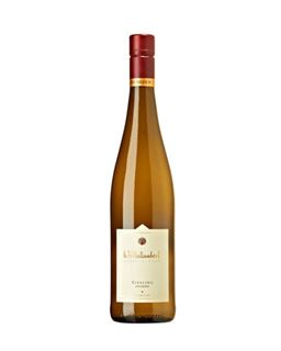 2024 Riesling feinherb Kabinett BIO Weingut Wilhelmshof - Pfalz