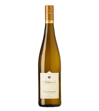 2025 Weisser Burgunder Sonnenschein trocken Weingut Wilhelmshof - Pfalz