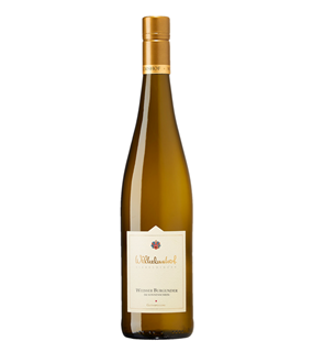 2025 Weisser Burgunder Sonnenschein trocken Weingut Wilhelmshof - Pfalz