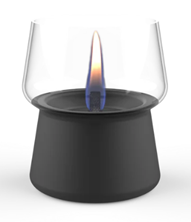 Amaryllis 10 black TenderFlame