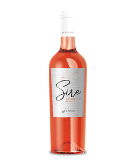 2025 Negroamaro Rosato Sire Mocavero / Apulien