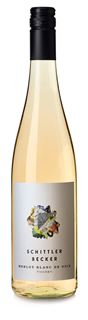 2025 Blanc de Noire Merlot  Weingut Schittler GbR / Zornheim-Rheinhessen