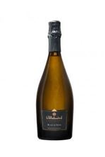 2022 Rose Sekt Brut Spätburgunder  Weingut Wilhelmshof - Pfalz