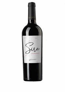 2020 Rosso Piceno Cervidoni Villa Travigiano